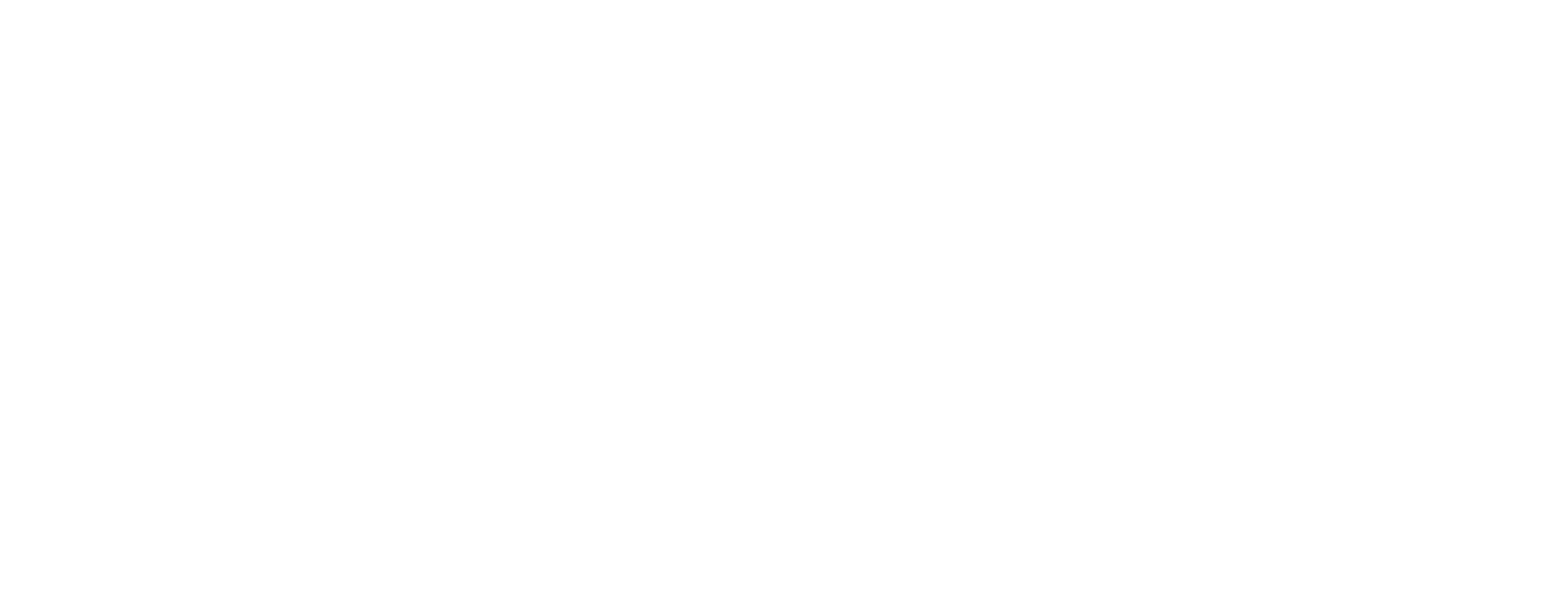 CCS NUMÉRIQUES Logo