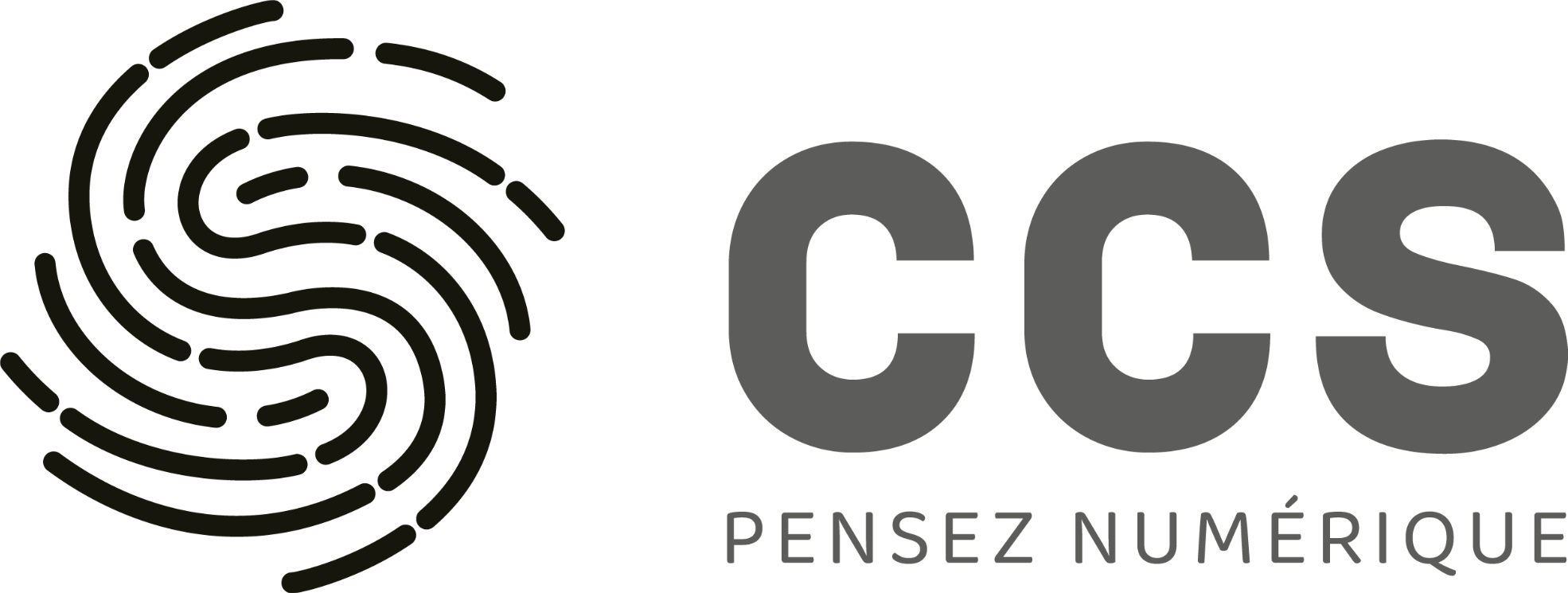 CCS NUMÉRIQUES Logo